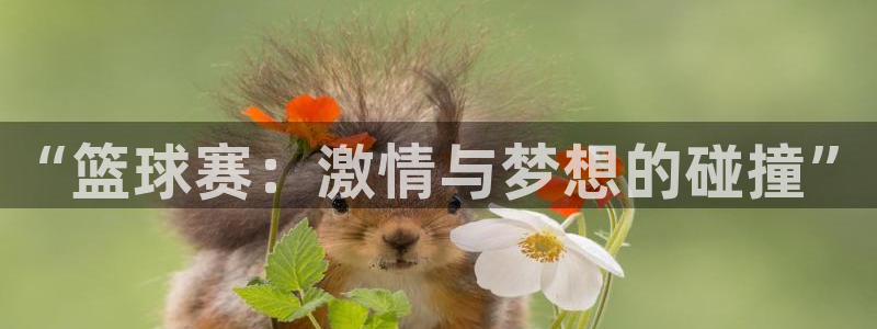 PG体育登录入口:“篮球赛:激情与梦想的碰撞”