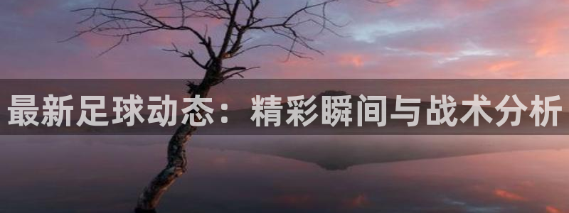 苹果体育直播app排行榜在哪看:最新足球动态:精彩瞬间与战术