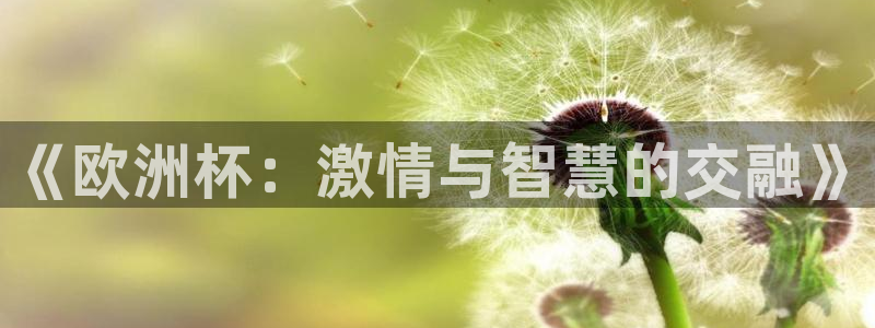 PG体育娱乐官网入口:《欧洲杯:激情与智慧的交融》